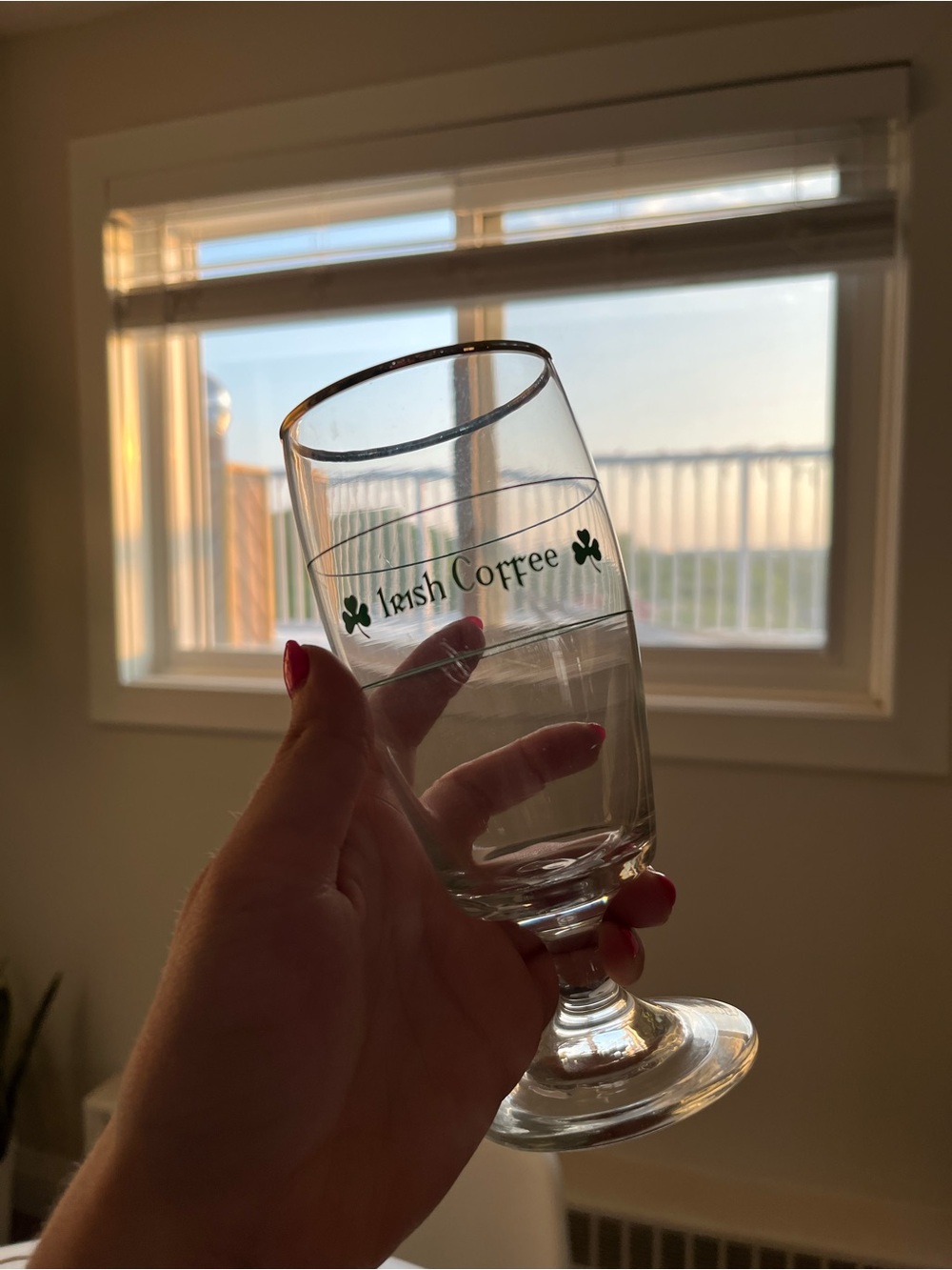 Set of 4 adorable vintage Irish Coffee Glasses